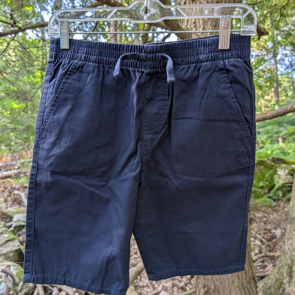 Levi's Dark Blue Flat Front Shorts